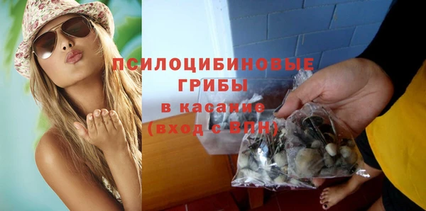 шишки Новодвинск