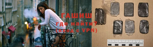 шишки Новодвинск