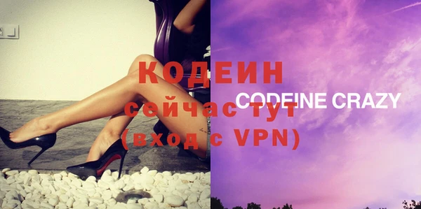 шишки Новодвинск