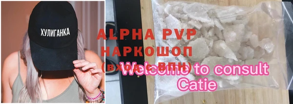 шишки Новодвинск