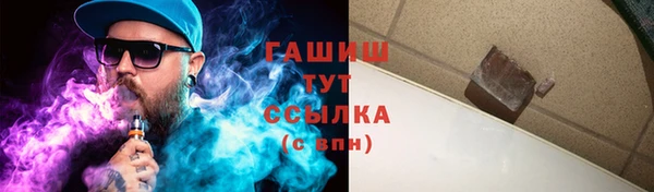 шишки Новодвинск