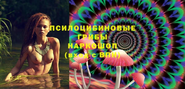 марки lsd Новозыбков