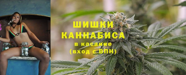 марки lsd Новозыбков